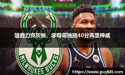 28圈.ccmpc正版