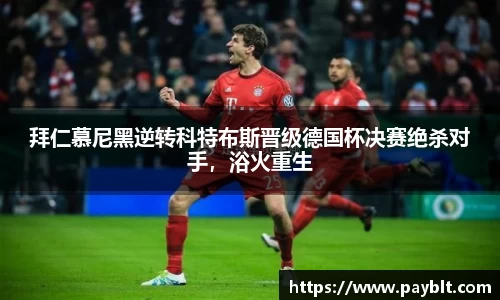 28圈.ccmpc正版