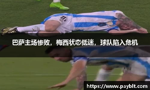 28圈.ccmpc正版