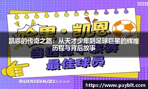 28圈.ccm