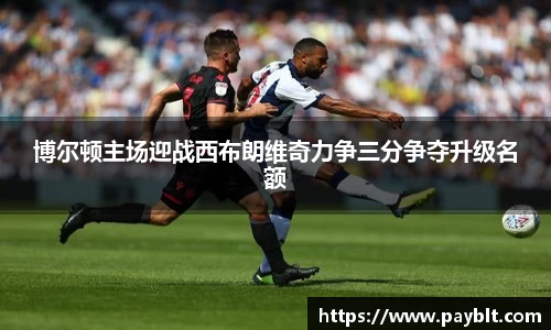 28圈.ccmpc正版