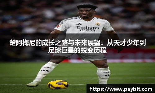 28圈.ccmpc正版