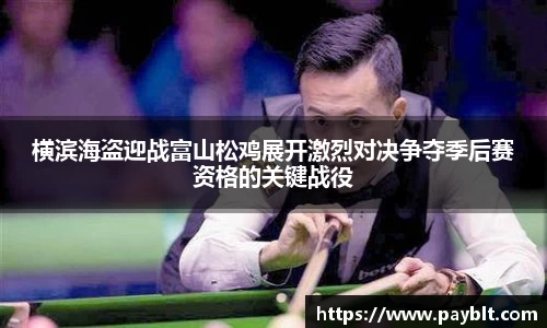 28圈.ccmpc正版