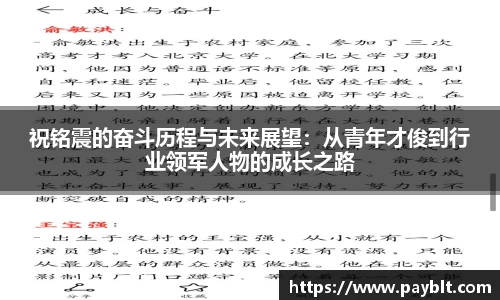 28圈.ccmpc正版