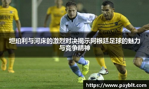 28圈.ccmpc正版