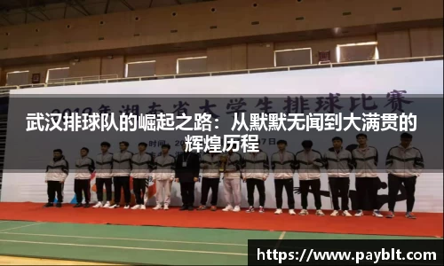 28圈.ccmpc正版