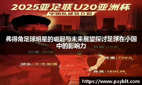 28圈.ccmpc正版