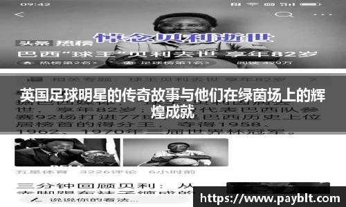 28圈.ccmpc正版