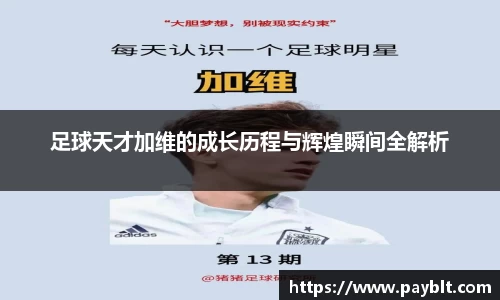 28圈.ccm