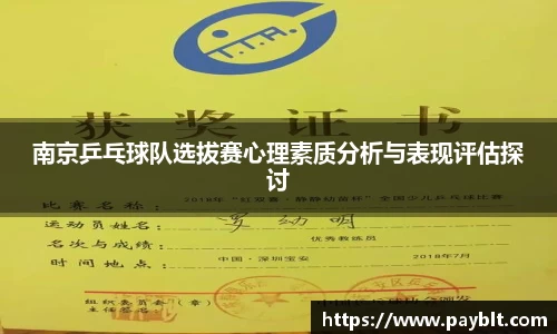 28圈.ccmpc正版