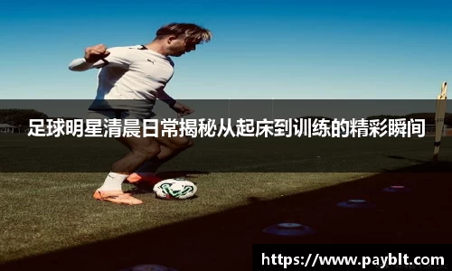 28圈.ccmpc正版