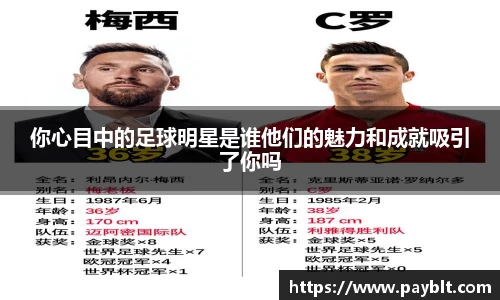 28圈.ccmpc正版