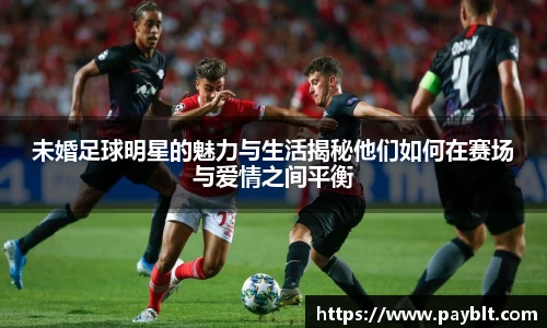 28圈.ccmpc正版